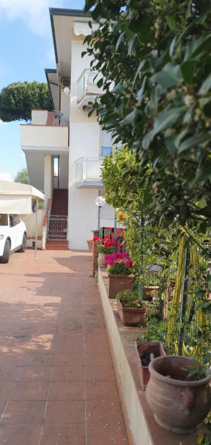 Happy King Lido di Camaiore Exterior foto